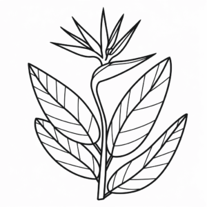 Dibujo de flor ave del paraíso para colorear