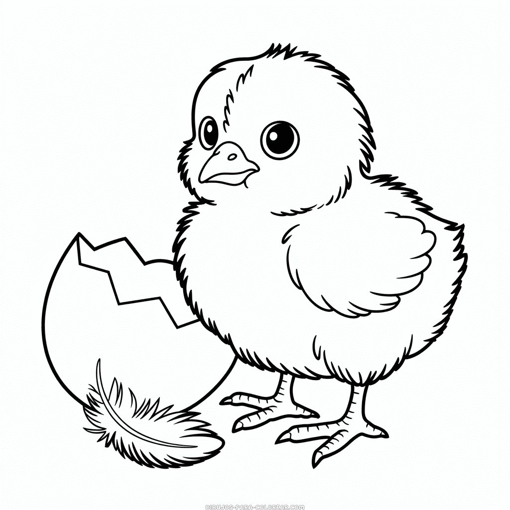 Dibujo de Pollito Bebé para Colorear