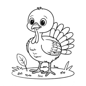 Dibujo de Pavo Bebé para Colorear