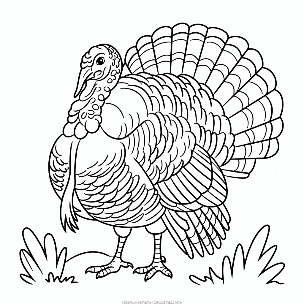 Dibujo de Pavo Detallado para Colorear