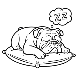 Dibujo de Bulldog para Colorear