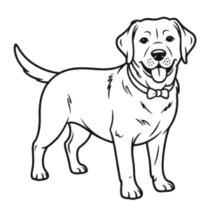 Dibujo de Labrador Negro para Colorear