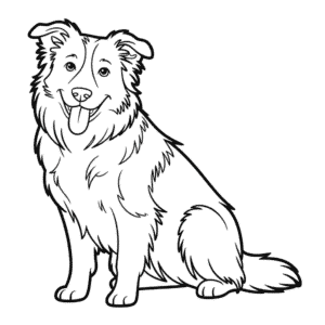 Dibujo de Perro Border Collie para Colorear