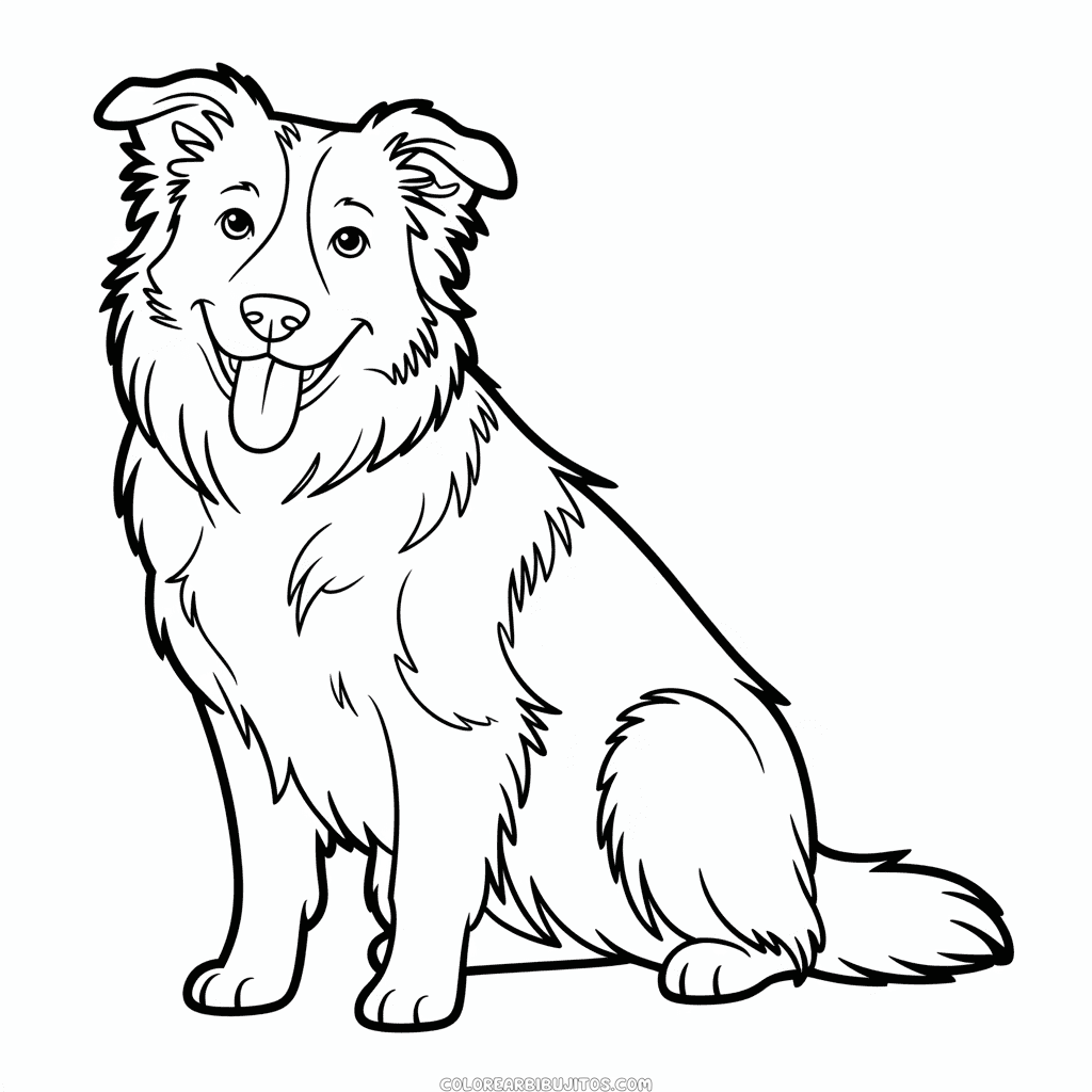 Dibujo de Perro Border Collie para Colorear