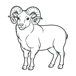 Dibujo de Animal Carnero para Colorear