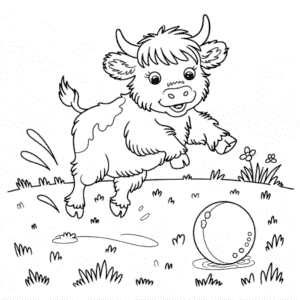Dibujo de Bebé de Vaca Highland para Colorear