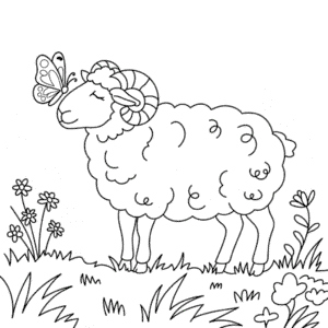 Dibujo de Oveja Adulta para Colorear