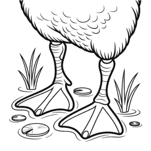 Dibujo de Patas de Pato para Colorear