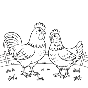 Dibujo de Gallo y Gallina para Colorear