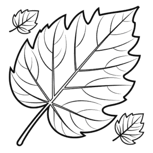 Dibujo de Hoja de Otoño para Colorear