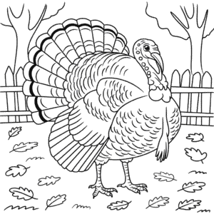 Dibujo de Imagen de Pavo para Colorear