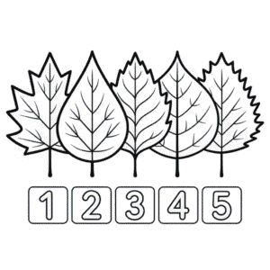 Dibujo de Matemáticas de Otoño para Colorear